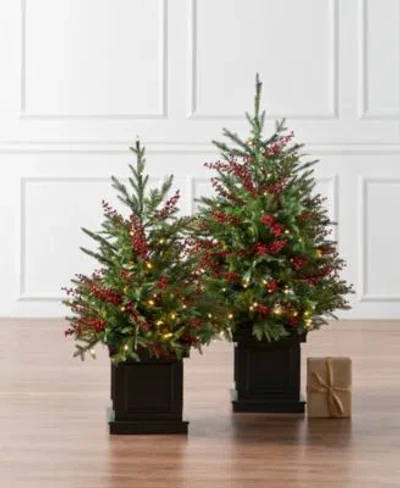 Balsam Hill Outdoor Berry Pre Lit Potted Tree Collection In Green