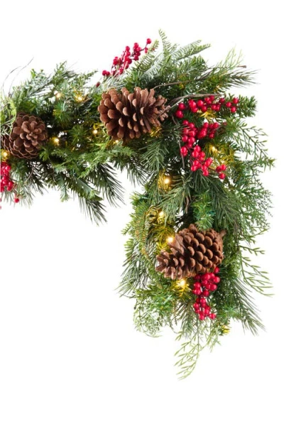Balsam Hill Outdoor Lighted Red Berry Pine Foliage In Green