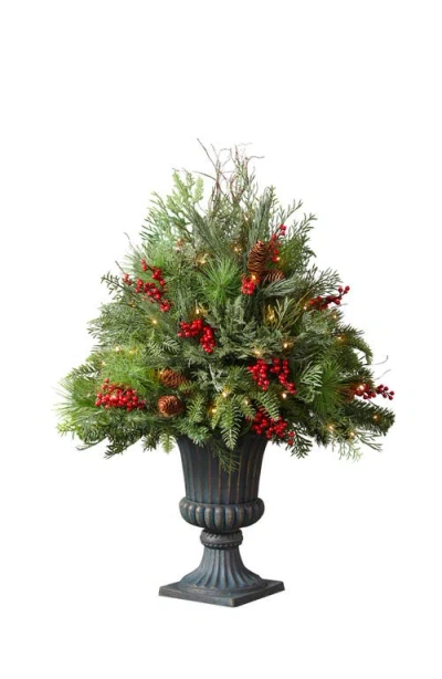 Balsam Hill Outdoor Red Berry Pine Potted Arrangement In Green