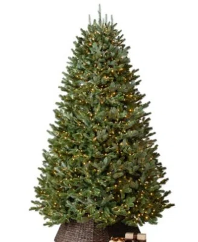 Balsam Hill Pre Lit Fraser Fir Ledc Artificial Christmas Tree Tabletop Tree Collection In Green