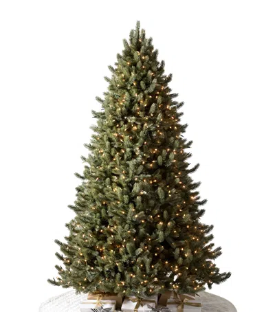BALSAM HILL VERMONT WHITE SPRUCE CLEAR LED GREEN TREE
