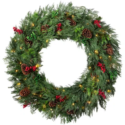 Balsam Hill Winter Evergreen Artificial Led Light Outdoor Wreath In Green