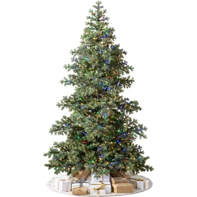 Balsam Hill Yukon Spruce® Pre-lit Artificial Tree In Led Color+clear