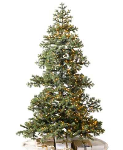 Balsam Hill Yukon Spruce Slender 7.5' Tree In Green