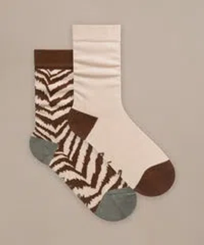Bam Women's Pattern Gifting Socks In ["brown"]