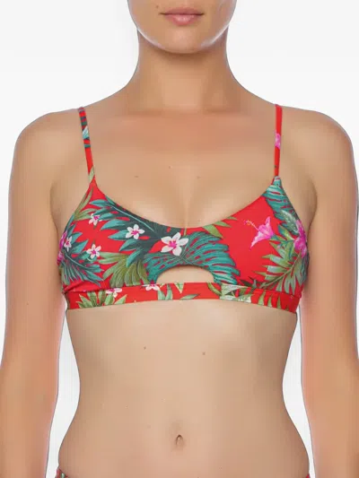 Banana Moon Floral-print Cut-out Bikini Top In Brown
