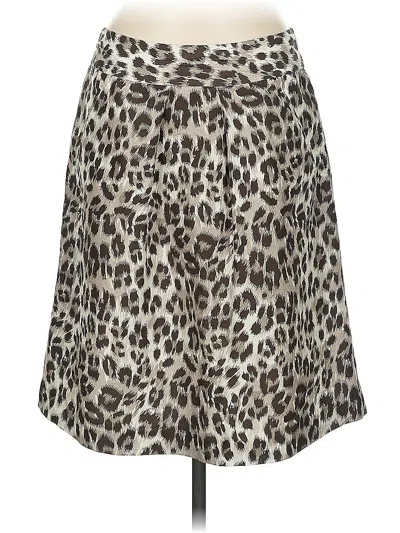 Pre-owned Banana Republic Casual Skirt In Brown