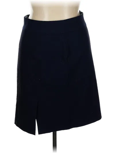 Pre-owned Banana Republic Wool Skirt In Blue