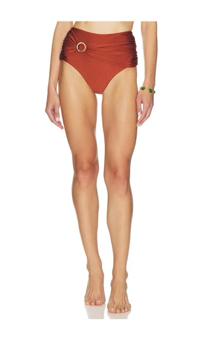 Bananhot Ari Highwaist Bikini Bottom In Brown