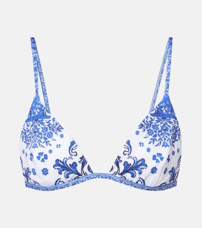 Bananhot Gala Printed Bikini Top In Blue