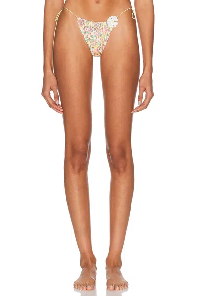 Bananhot Orca Bikini Bottom In Pink