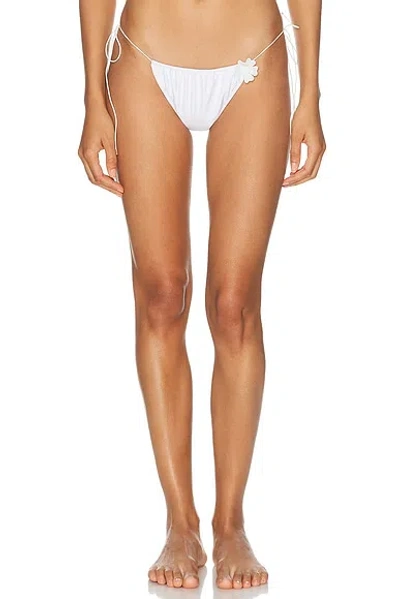 Bananhot Orca Bikini Bottom In White
