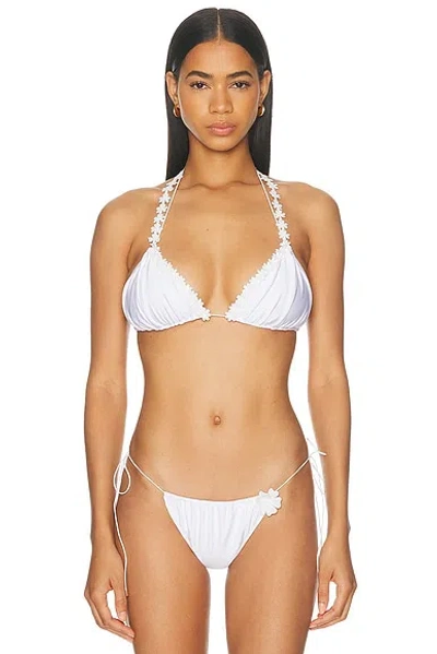 Bananhot Orca Bikini Top In White