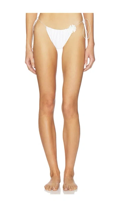 Bananhot Orca Bottom In White