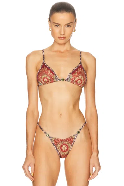 Bananhot Pracy Bikini Top In Brown
