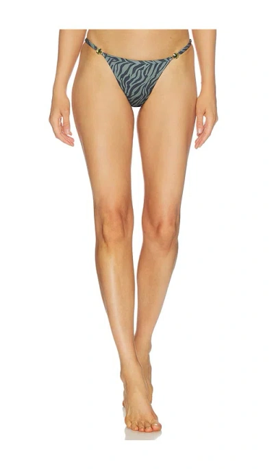 Bananhot Prima Bikini Bottom In Multi