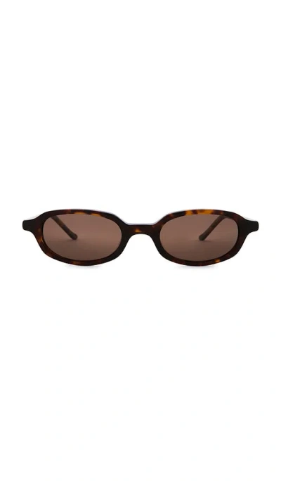 Banbe The Cassel Sunglasses In Brown