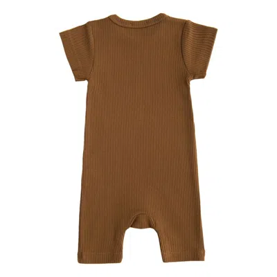 Banblu Kids' Brown Modal Bodysuit