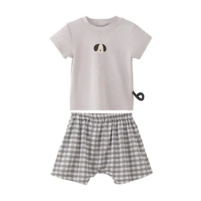 Banblu Babies'  Dog Short Set In Gray