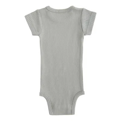 Banblu Kids' Green Ss Modal Bodysuit In Gray