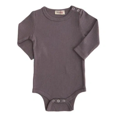 Banblu Kids'  Long Sleeved Modal Bodysuit In Purple