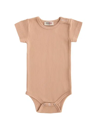 Banblu Babies' Ribbed Short-sleeve Bodie In Brown