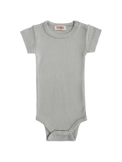 Banblu Babies' Ribbed Short-sleeved Bodie In Gray