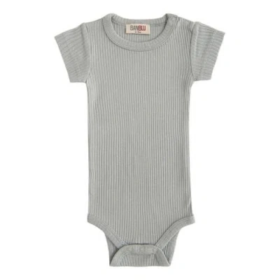 Banblu Kids'  Short Sleeved Modal Bodysuit In Gray