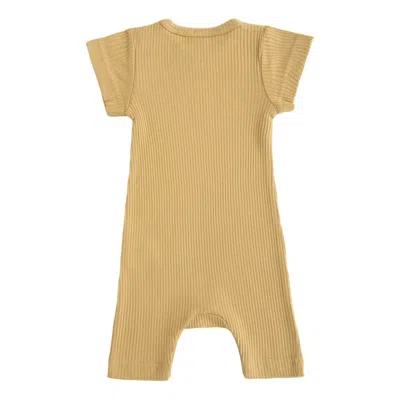 Banblu Kids' Yellow Biscotti Modal Bodysuit In Neutral