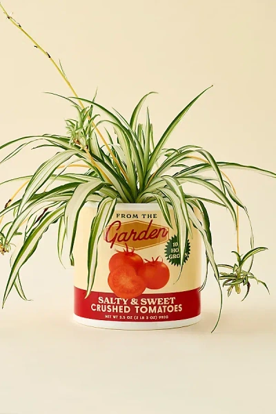 Bando Ban. Do Tomato Can Ceramic Vase In Red At Urban Outfitters