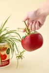 Bando Ban. Do Tomato Shape Ceramic Plant Mister In Red At Urban Outfitters