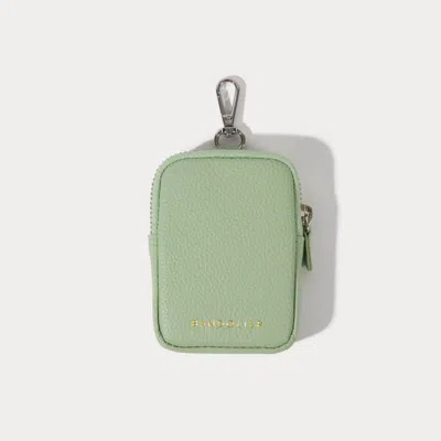 Bandolier Mini Zip Pouch - Pastel Matcha/silver