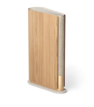 Bang & Olufsen Beosound Emerge Al2 Speaker In Gold