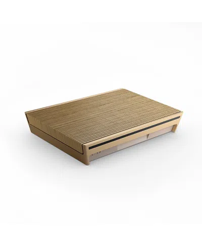 Bang & Olufsen Beosound Level Portable Wifi Speaker In Gold Tone Alum./light Oak