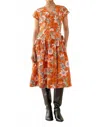 Banjanan Angela Dress In Elisabetta Vine Spice In Multi