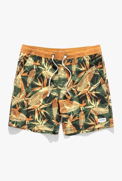 Banks Journal Men's Void Boardshort In Multi