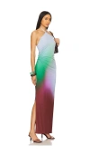 Baobab Blake Maxi Dress In Wines