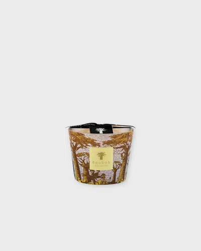 Baobab Candle Max 10 Sacred Trees Cocody In Multi