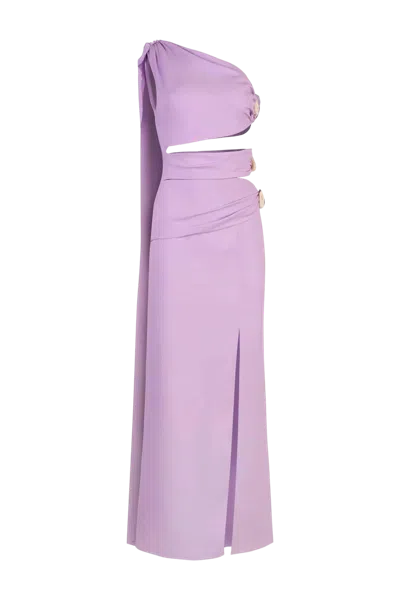Baobab Cassis Maxi Dress In Purple
