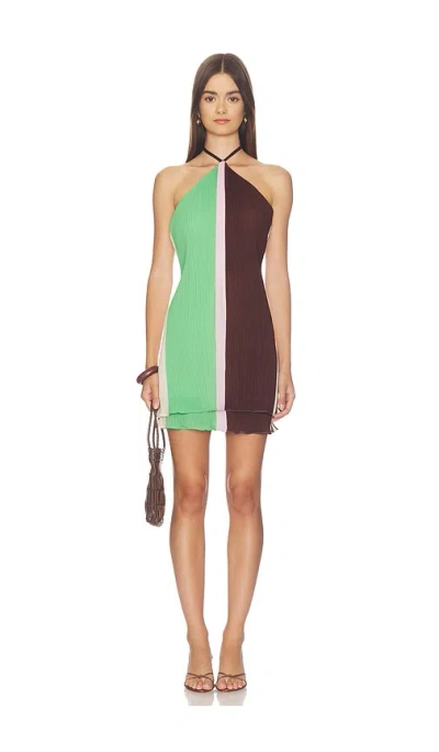 Baobab Coco Mini Dress In Caffe Verde