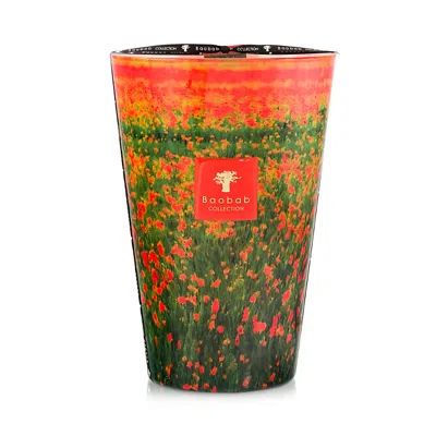 Baobab Collection Arty Flowers Max 35 Candle, 229.12 Oz. In Multi
