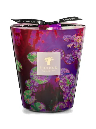 Baobab Collection Arty Flowers Water Lily Candle In Multi