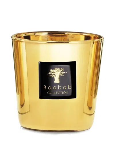 Baobab Collection Aurum Max 08 Glass Candle (600g) In Gold