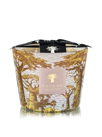 Baobab Collection Bounkani Trees-print Candle In Brown