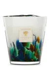 Baobab Collection Rainforest Amazonia Scented Candle In Multi