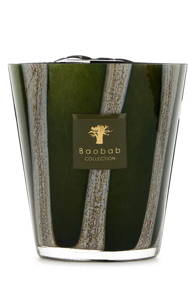 Baobab Collection Wood Sherwood Scented Candle In Multi