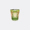 Baobab Collection Candlelight And Scents Green And Pink Uni In Green And Pink