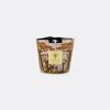 Baobab Collection Candlelight And Scents Multicolor Uni In Multicolor