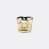 Baobab Collection Candlelight And Scents Multicolor Uni In Multicolor