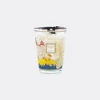 Baobab Collection Candlelight And Scents Multicolor Uni In Multicolor